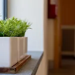 Casa Da Felicidade By Lovelystay Prazeres