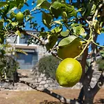 Casa Da Felicidade By Lovelystay Tatil Evi *