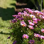 Casa Da Felicidade By Lovelystay Prázdninový dům *