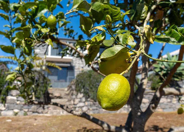 Casa Da Felicidade By Lovelystay Dom wakacyjny *
